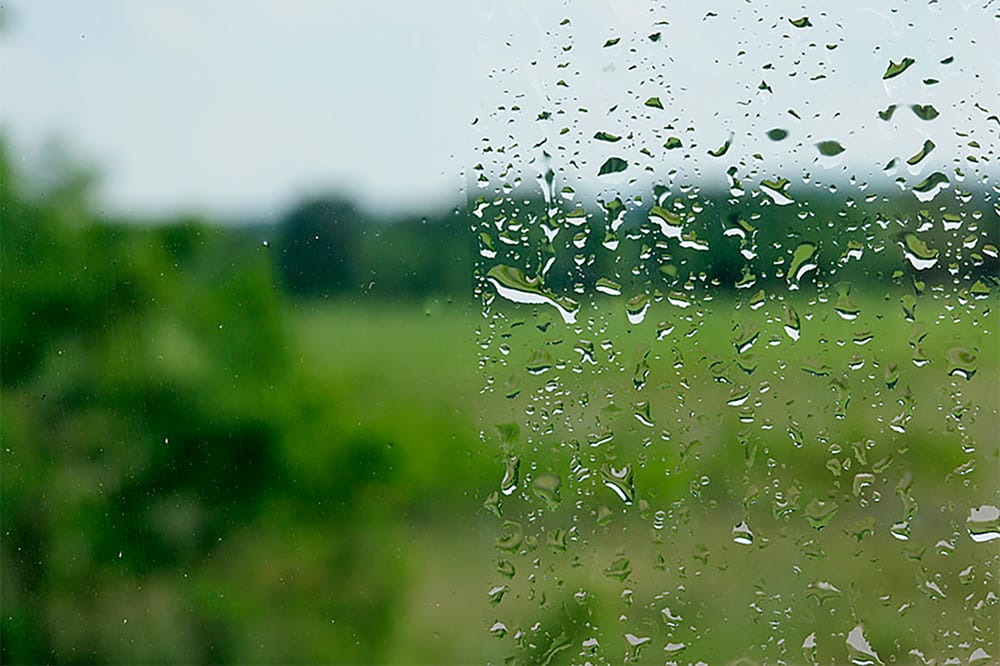side by side comparison of standard glass versus Neat glass with a view of the sky and treeline