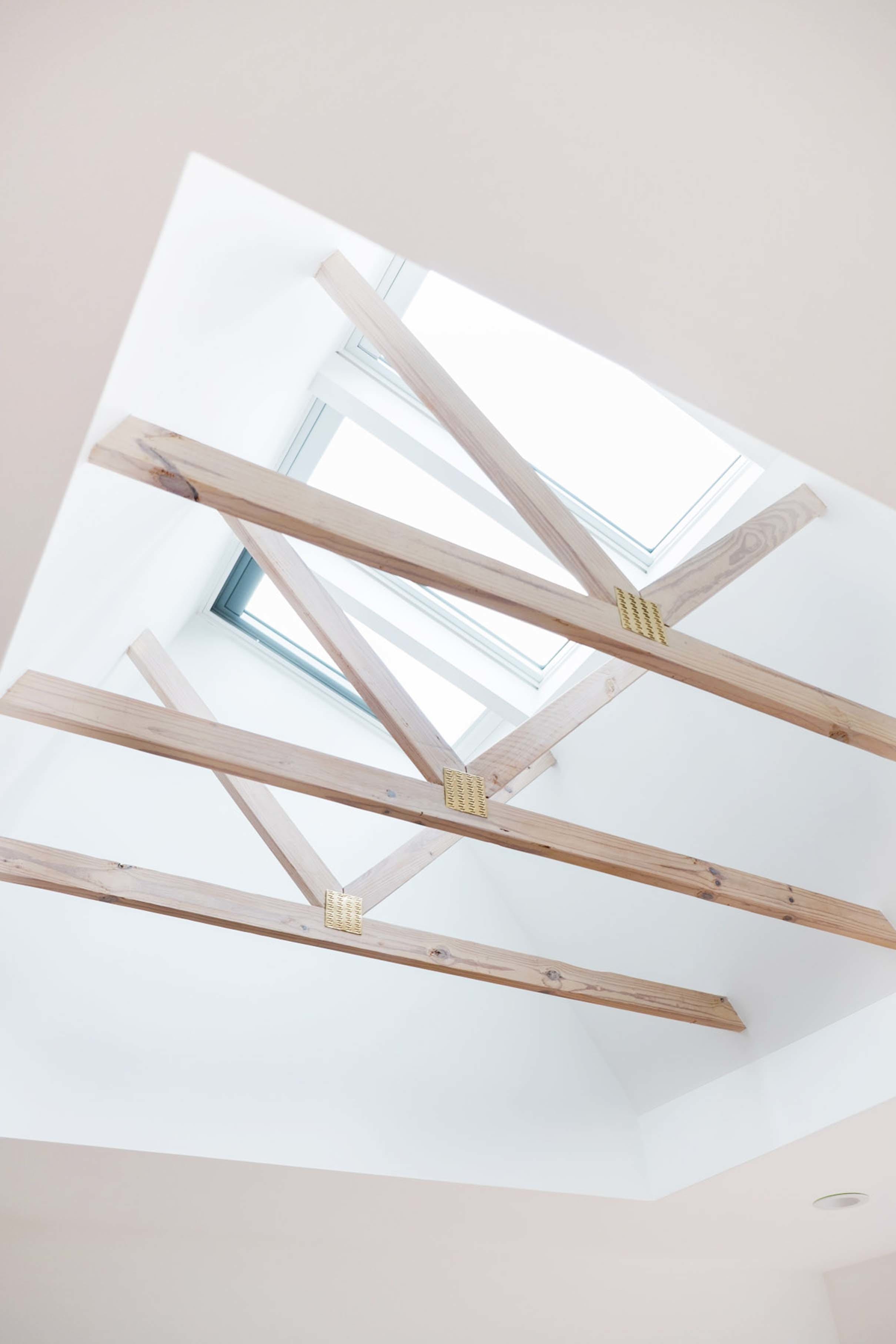 Skylights combi flashed exposed trusses